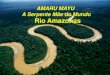 amaru mayu rio amazonas - theresacatharinacampos.com mayu.pdf · O Rio Amazonas nasce no Peru com o nome de Ucayali, na montanha Nevada Mismi na Cordilheira dos Andes, a uma altitude