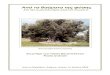 Στη µνήµη του ιταλού βοτανολόγου Paolo Liverani•λιά_Λιβεράνι_0.pdf · Το τερά - στιο δέντρο , περιµέτρου 8,60 µ