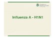 H1N1 - 27072009€¦ · Influenza A – H1N1 MEDIDAS DE PRECAUÇÃO-PADRÃO 9Conjunto de medidas de controle de infecção adotadas universalmente, como forma eficaz de redução
