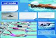 MCV DEXPO natacao 08 apresentacao · 2020. 5. 29. · foto: Domínio Público. Cesar Cielo, o segundo de cima para baixo, e outros nadadores largando em uma prova de natação. Mas