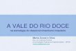 A VALE DO RIO DOCE … · Objetivos Evidenciar os fatores políticos e institucionais que propiciaram a Vale gerar crescimento, mudanças sociais, econômica em ambientais em sua