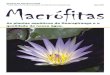 Revista Macrófitas Junho - USPecologia.ib.usp.br/portal/dmdocuments/Revista_Projeto_Ypora_macr… · Essa revista é um dos produtos do Projeto Yporä — Proliferaçäo de plantas