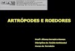 ARTRÓPODES E ROEDORES · 2015. 5. 14. · Artrópodes de maior interesse em saúde pública 2- ARACNÍDEOS -Características: possuem 1 par de quelíceras (apêndices) e 4 pares
