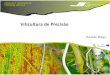 Viticultura de Precisão - AGRINOVagrinov.ajap.pt/.../Diapositivos_Viticultura_de_Precisao.pdf · 2018. 1. 8. · Viticultura de Precisão Adopção da Viticultura de Precisão A