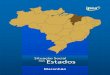 Maranhãorepositorio.ipea.gov.br/bitstream/...maranhao.pdf · Para dar conta do tipo de abordagem proposta, a fonte de informação mais completa, em termos de abrangência territorial