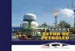 P a n o r a m a SETOR DE PETRÓLEO - CNQcnq.org.br/.../file/setor-de-petroleo-b.pdf · 2015. 11. 19. · final de 2013, quantidade suficiente para garantir exatos 52 anos e 9 meses