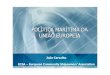 POLÍTICA MARÍTIMA DA UNIÃO EUROPEIA€¦ · asseguradas no quadro das “Guide Lines” da Comissão Europeia sobre as Ajudas de Estado ao sector marítimo. O que a política da