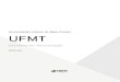 Universidade Federal de Mato Grosso UFMT...Comunicação interpessoal: barreiras, uso construtivo, comunicação formal e informal. Trabalho em equipe e conflitos 