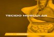 TECIDO MUSCULAR - Amazon Web Services...Essa contração das células musculares ocorre através da interação entre dois tipos de miofilamentos: filamentos finos e filamentos grossos