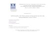 Utilização da fala para preenchimento de formulários num PDAjpn/trabalhos/TFC-PDA.pdf · de Engenharia Informática Relatório Final do Trabalho Final de Curso LICENCIATURA EM