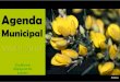 Municipal - Alijó · 2018. 1. 15. · Orquestra Paulistana de Viola Caipira é hoje uma ONG que tem como objectivo central a pesquisa, difusão e divulgação da cultura caipira