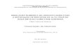 New Dissertação de Mestrado - EPQBepqb.eq.ufrj.br/download/simulacao-numerica-de-hidroci... · 2013. 8. 7. · Simulação numérica de hidrociclones para a separação de misturas