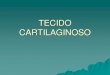 TECIDO CARTILAGINOSOecdise.weebly.com/.../2/8/4/6/2846714/aula_5_-_tecido_cartilaginoso.… · Crescimento Ósseo Revestimento de ... TECIDO CARTILAGINOSO Author: 109739 Created Date: