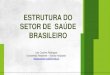 ESTRUTURA DO SETOR DE SAÚDE BRASILEIRO · 2019. 4. 11. · As Redes de Atenção à Saúde (RAS) são arranjos organizativos de ações e serviços de saúde, de diferentes densidades