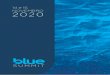 14 e 15 NOVEMBRO 2020 - faceacademy.com.br€¦ · SOBRE O BLUE SUMMIT A ideia do BLUE SUMMIT surgiu da observação da trajetória do médico e de como ele almeja alcançar o sucesso
