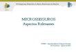 MICROSSEGUROS Aspectos Relevantes · Microsseguros de Danos-20,000 40,000 60,000 80,000 100,000 120,000 2013 (1º sem) 2013 (2º sem) 2014 (1º sem) Microsseguros de Pessoas Microsseguros