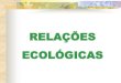 Apresentação do PowerPointescola.unitau.br/.../RELACOES_ECOLOGICAS_1473350109.pdfsobre outras plantas sem parasitá-las, usando-as apenas como suporte. Ex.: as orquídeas e as bromélias