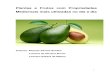 Plantas e Frutos com Propriedades Medicinais mais ... · O abacaxi, com o nome de “piña”, foi levado para a Europa como testemunho da exuberância exótica das terras existentes