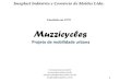 Projeto de mobilidade urbana - Muzzicycles | Bicicleta Urbana · Projeto de desenvolvimento limpo (PDL) 1998 . 3 Pesquisa de materiais iniciada com nylon e pet 1998 . 4 Linha do tempo