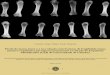 Perda de massa óssea e a sua relação com fraturas de ... Mestrad… · in the prevalence of fragility fractures, were observed as well. However, the results revealed that there