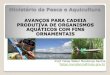 Ministério da Pesca e Aquicultura - Governo do Brasil · do MPA, observados parâmetros de tamanho mínimo, lista de espécies ameaçadas de extinção e períodos de defeso, quando
