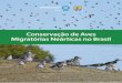Conservação de Aves Migratórias Neárticas no Brasil · os esforços de conservação de mais de 80 espécies de aves migratórias neárticas que dependem de habitats brasileiros