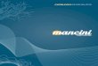 CATÁLOGO DE PRODUTOS - Mancini Cabos Especiais · 2020. 5. 12. · A Mancini Cabos Especiais é uma empresa brasileira que fabrica e comercializa cabos para os segmentos de áudio