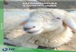 Osmar Alves Carrijo Júnior - avant.grupont.com.br · banhos de ovelhas domésticas chegaram a regiões nas quais viviam outras subespécies, havendo um possível cruzamento entre