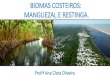 BIOMAS COSTEIROS: MANGUEZAL E RESTINGA....LOCALIZAÇÃO •Manguezal: distribuído desde o Amapá até Santa Catarina, no litoral brasileiro. •Restinga: regiões de transição entre