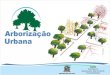 Prefeitura Municipal de LinsUma sibipiruna adulta, cobre uma superficie de aproximadamente 120m2, transfere 400 litros de água por dia para o ar, resfriando o dobro de sua área de