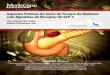 Aspectos Práticos do Início da Terapia do Diabetes com ...img.medscape.com/article/766/278/766278_portuguese.pdf · A hiperglicemia é um fator que contribui significativamente