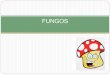 FUNGOS Aula 7 - PMMG · 2017. 5. 26. · -Micorrizas (raízes e fungos) Planta fornece energia e carbono, ... - Cogumelos que crescem sobre esterco – morte . Importância dos Fungos