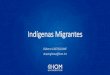 Indígenas Migrantesescola.mpu.mp.br/.../indigenas-migrantes.pdf · 2019. 9. 19. · sociedade e estão determinadas a preservar, desenvolver e transmitir para as gerações futuras