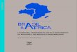 LITERATURA, PENSAMENTO SOCIAL E MOVIMENTO DE … · 2020. 7. 19. · a construção de uma hipótese cultural em torno de Moçambique, buscando a elaboração de um mosaico compreensivo