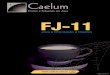 Caelumvhca/caelum-java-objetos-fj11.pdfJava na Universidade de São Paulo, em janeiro de 2004, pelos instrutores da Caelum. Em 2008, a empresa foca seus esforços em duas grandes áreas: