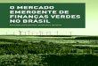 O MERCADO EMERGENTE DE FINANÇAS VERDES NO ......O mercado de finanças verdes no Brasil Essa publicação foi realizada por uma equipe de consultores do projeto Finanças Brasileiras