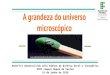 microscópico A grandeza do universo · A grandeza do universo microscópico Material desenvolvido pela Equipe de Química Geral e Inorgânica IFRJ campus Duque de Caxias 18 de junho