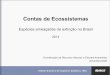 Contas de Ecossistemas · 2020. 11. 5. · Integram numerosas fontes de dados ambientais e estatísticas econômicas, em temas prioritários como: Água Florestas Ecossistemas para