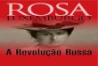 A Revolução RussaSecure Site rosalux-ba.org/wp-content/uploads/2017/11/...A Revolução Russa Título original: "Zur russischen Revolution" [cc] Fundação Rosa Luxemburgo, 2017