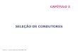 SELEÇÃO DE CONDUTORES - Leonardo Energy Brasil...As tabelas de condutores da NBR 5410:2004 consignam o seguinte: • Temperatura ambiente = 30 C • Número de condutores por duto