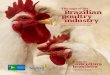 The saga of the Brazilian poultry industrybrazilianegg.com.br/img/docs/livro-a-saga-en-pt.pdfpara contribuir, oferecendo um alimento barato, muito nutritivo e saudável. F rom the