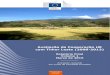 Avaliação da Cooperação UE com Timor Leste (2008-2013) · com Timor Leste (2008-2013) Relatório Final Volume 1 Março de 2015 _____ Avaliação realizada em ... 4.1 QA 1 IMPORTÂNCIA