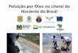 Poluição por Óleo no Litoral do Nordeste do Brasil€¦ · 2019-10-22  · que não correspondem a petróleo cru produzido em território nacional, ou comercializado e transportado