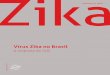 Ministério da saúde Zika€¦ · Sumário 9 Apresentação 11 Preâmbulo 11 A missão da SVS à frente da epidemia 13 o começo de tudo 15 A surpresa e o grito 27 investigação