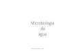 Microbiologia da água - UFPRpdalzoto/2016BIOTECMicrobiologiaA...Bacilos gram-negativos Aeróbios ou anaeróbios facultativos Não formadores de esporos Oxidase negativos Capazes de
