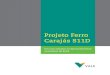 Projeto Ferro Carajás S11D - Vale...O projeto representa a expansão da atividade de extração e beneficiamento de minério de ferro no Complexo Minerador de Carajás, em operação
