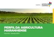 Perfil da agricultura Maranhense€¦ · aPresentaÇÃO A SECRETARIA DE ESTADO DA AGRICULTURA, PECUÁRIA E PESCA - SAGRIMA, por meio da Superintendência de Pesquisa e Geoprocessamento