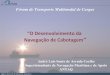 “O Desenvolvimento da Navegação de Cabotagemweb.antaq.gov.br/portalv3/pdf/Palestras/PalestraCabotage...Ações propostas no 1º Seminário sobre o Desenvolvimento de Cabotagem