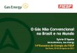 O Gás Não Convencional no Brasil e no Mundo€¦ · O Gás Não Convencional no Brasil e no Mundo Sylvie D’Apote Sócia-Diretora, Gas Energy 14ºEncontro de Energia da FIESP São