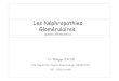 Les Néphropathies Glomérulaires....5.3 Purpura rhumatoïde 5.4 Angéites, Endocardites, cryoglobulinémie 6. Néphropathies Glomérulaires héréditaires 5.5 Syndrome d’Alport